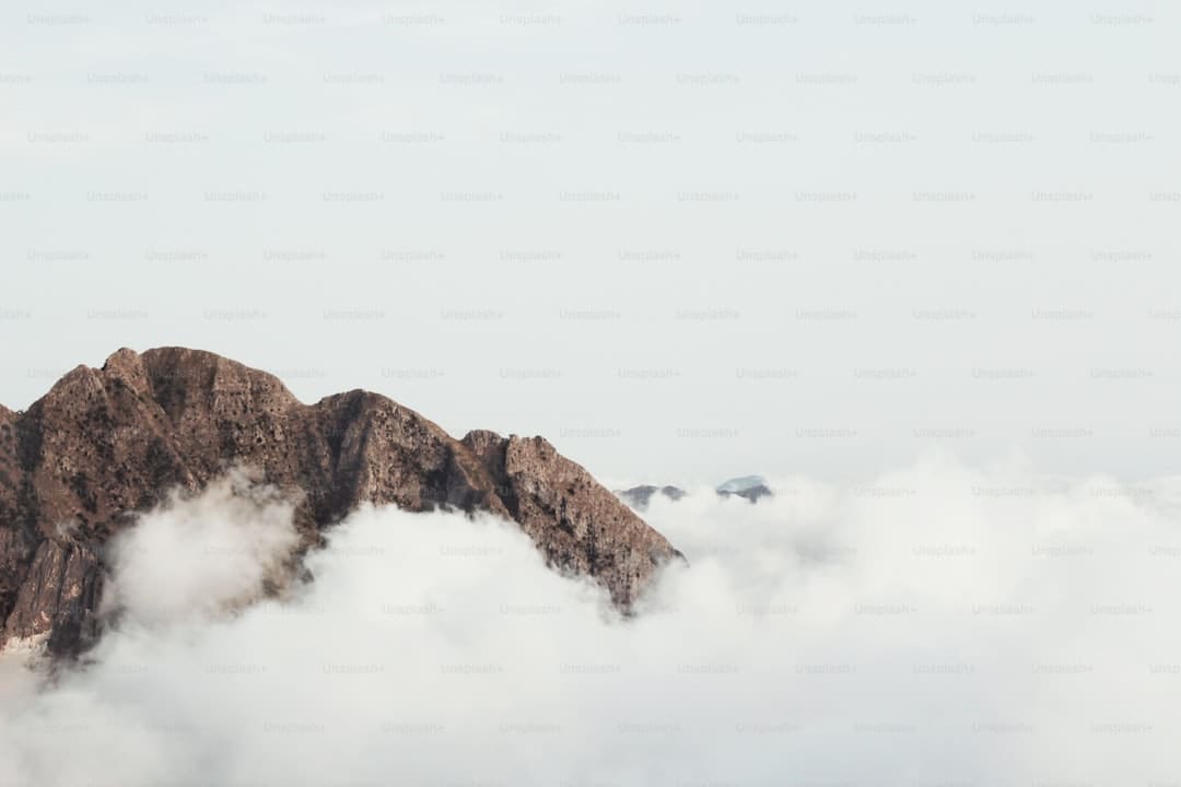 漳浦开渔 千帆竞发赴蓝海